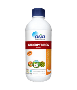 Chlorpyrifos